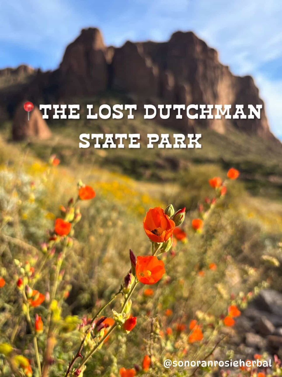 Water-Use It Wisely tweet media