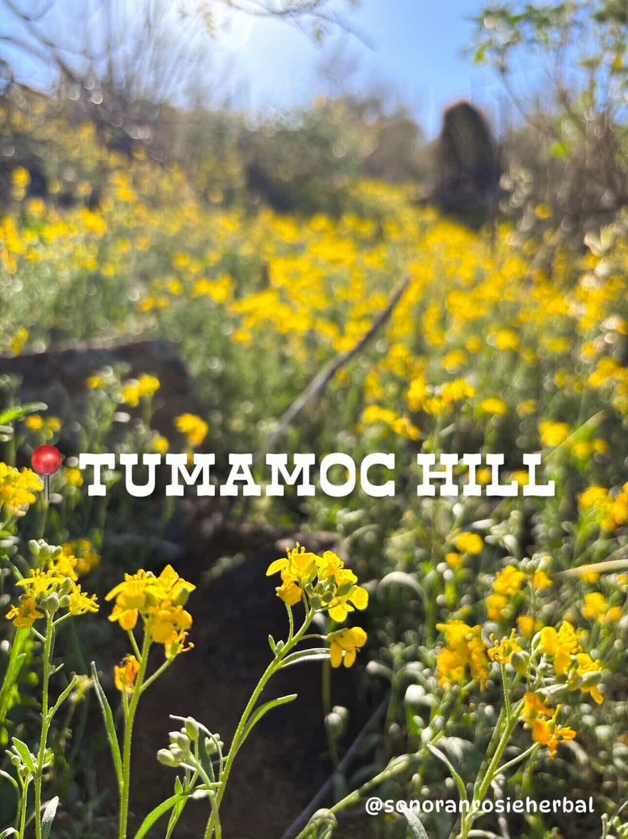 Water-Use It Wisely tweet media