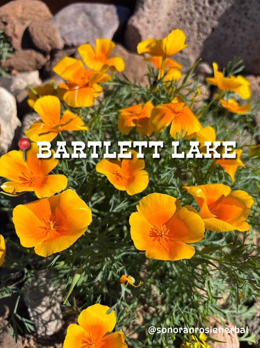 Water-Use It Wisely tweet media