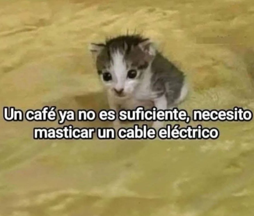 Memes⚡️México tweet media