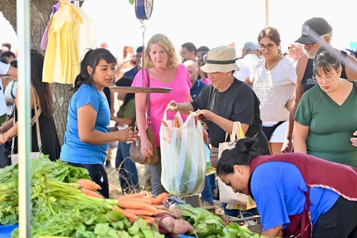 Tiempo Argentino tweet media