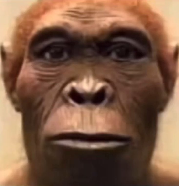 Brahim ♭l'homme au masque ®️ tweet media