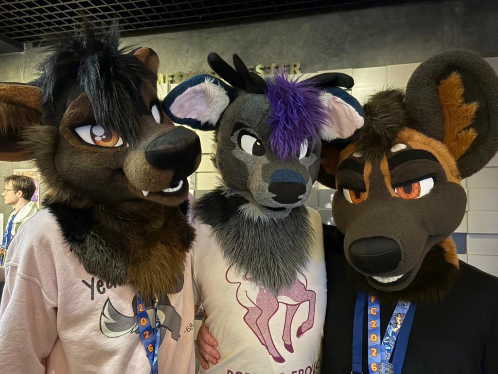 Voss 🔜 New Haven 🍕 tweet media