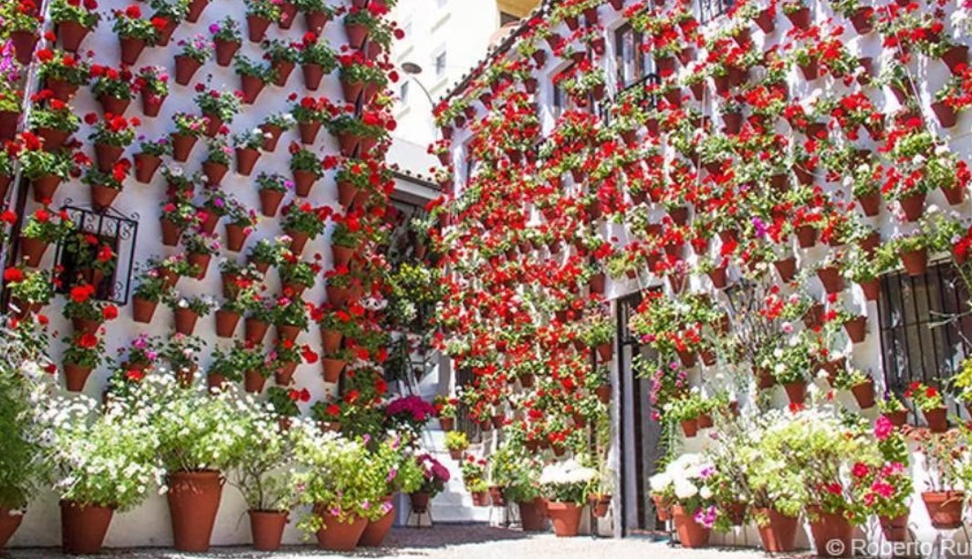 .<a href="/gip_merkatariak/">Gipuzkoa Merkatariak</a> Viajar en vuelo charter hasta Córdoba y hospedarse en la ciudad de los califas  para asistir a la final de la Copa es una opción mucho mas económica que ir a Sevilla. El desplazamiento hasta el estadio de La Cartuja en autocar dura poco mas de una hora. Se puede