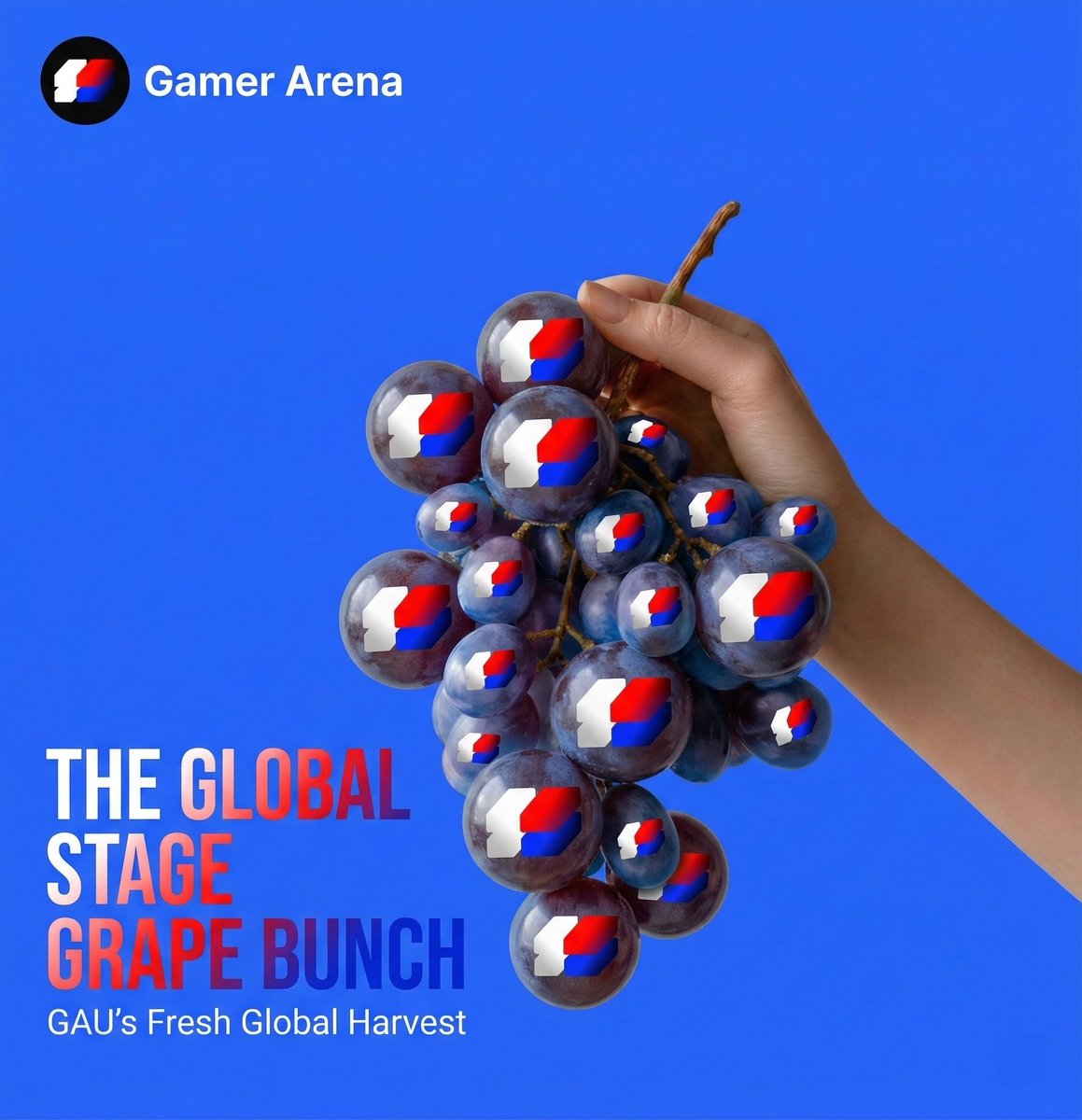 Gamer Arena 🔺 tweet media