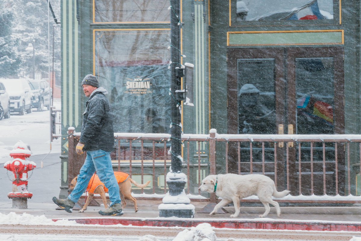 Visit Telluride tweet media