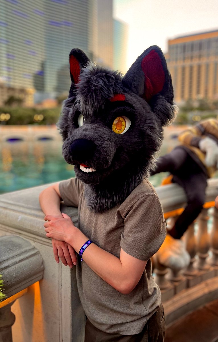 Solitar The Wolf 🔜 LVFC tweet media