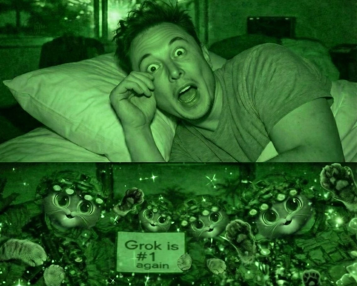 Sir Börtecine 🧋🐈 tweet media