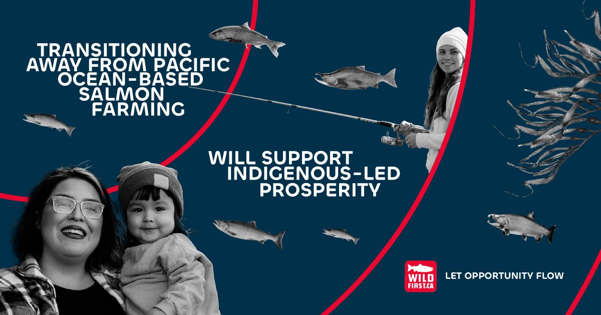 Wild First tweet media