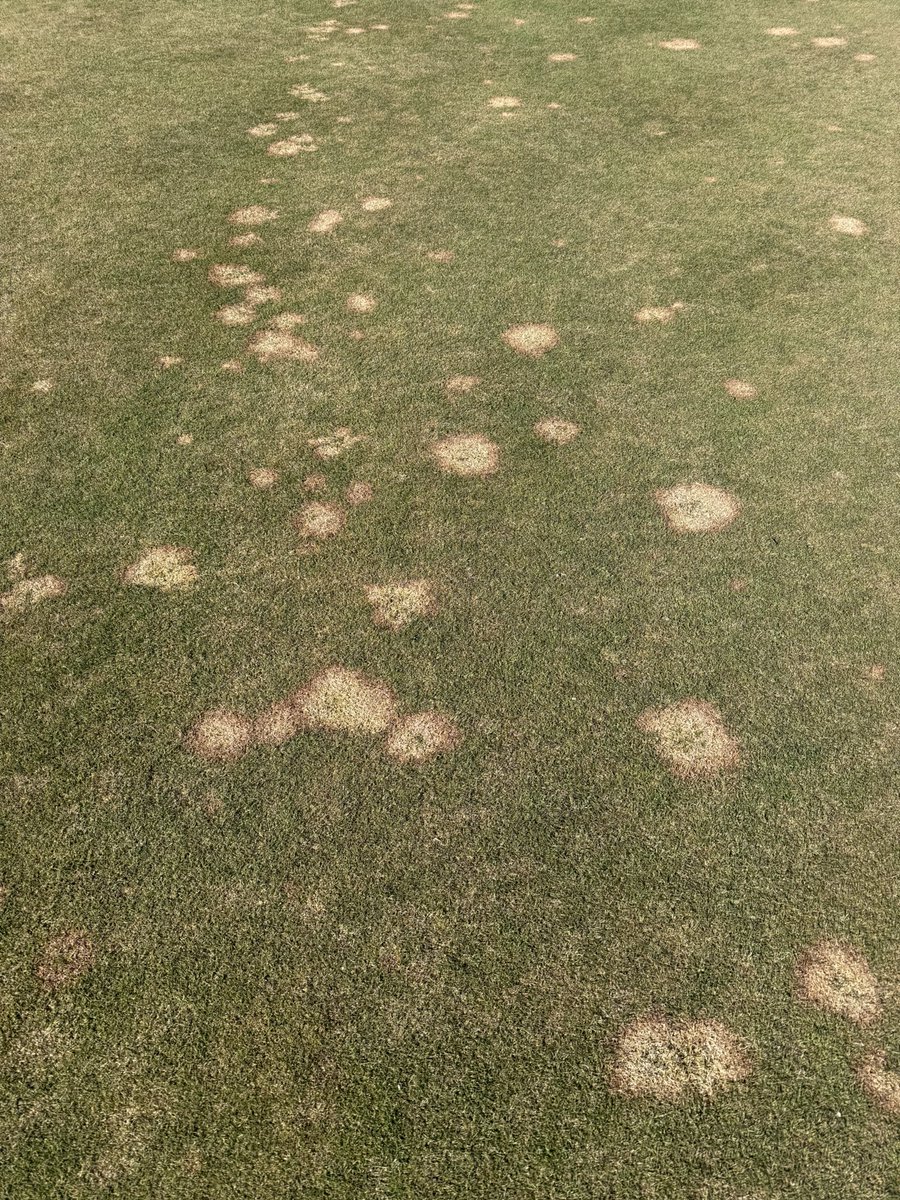 Mike Rapp tweet media