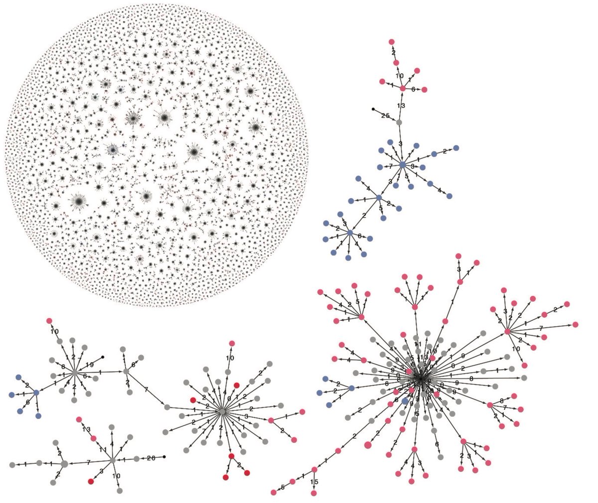Felix Horns tweet media