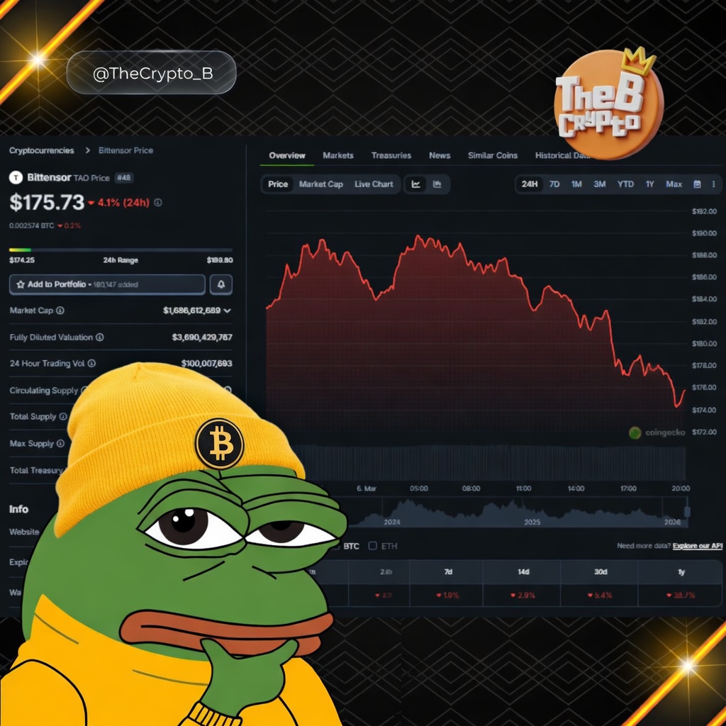 Crypto B 👑 (Never DM first) 🇧🇷 tweet media