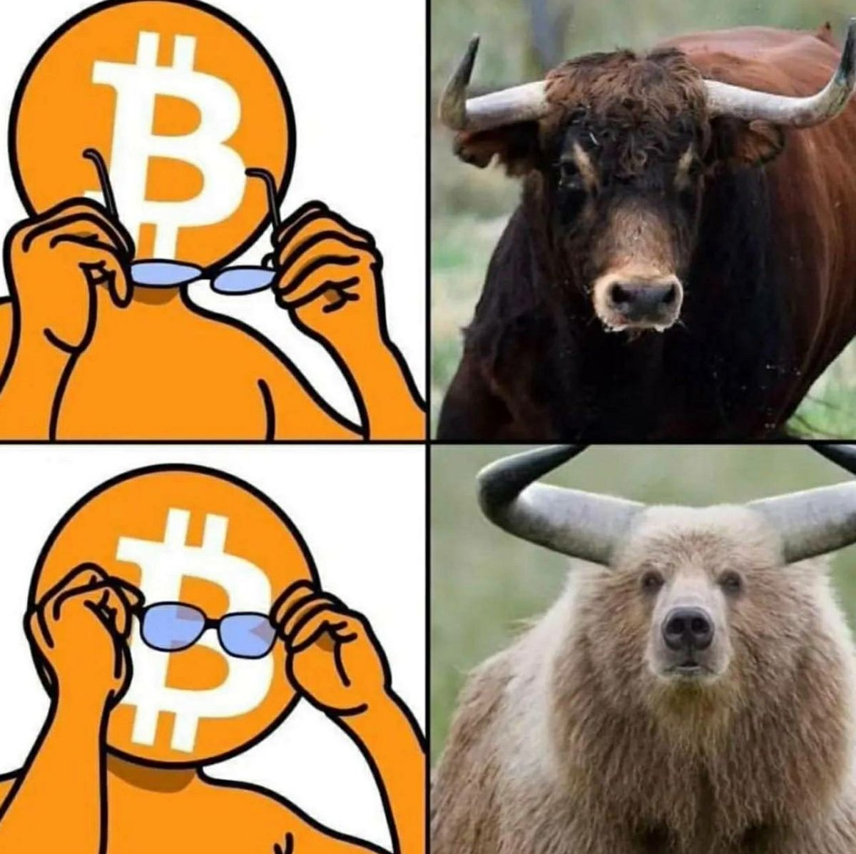 viclarius's tweet photo. Crypto market today 😂

$BTC https://t.co/MfEkxUbLEM