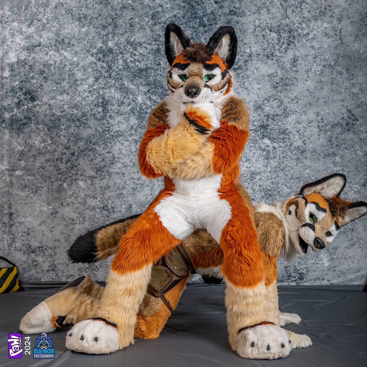 Wyatt Derp tweet media