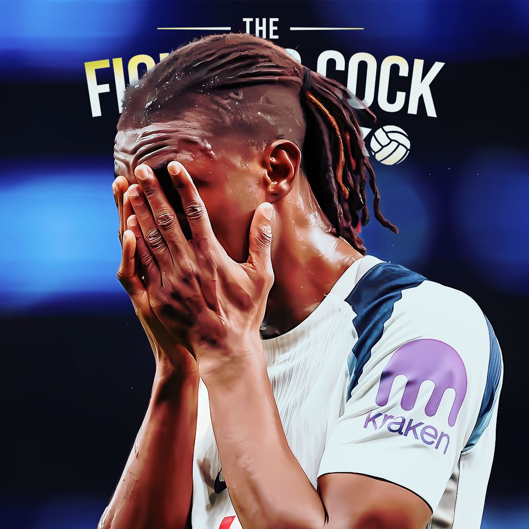 The Fighting Cock tweet media