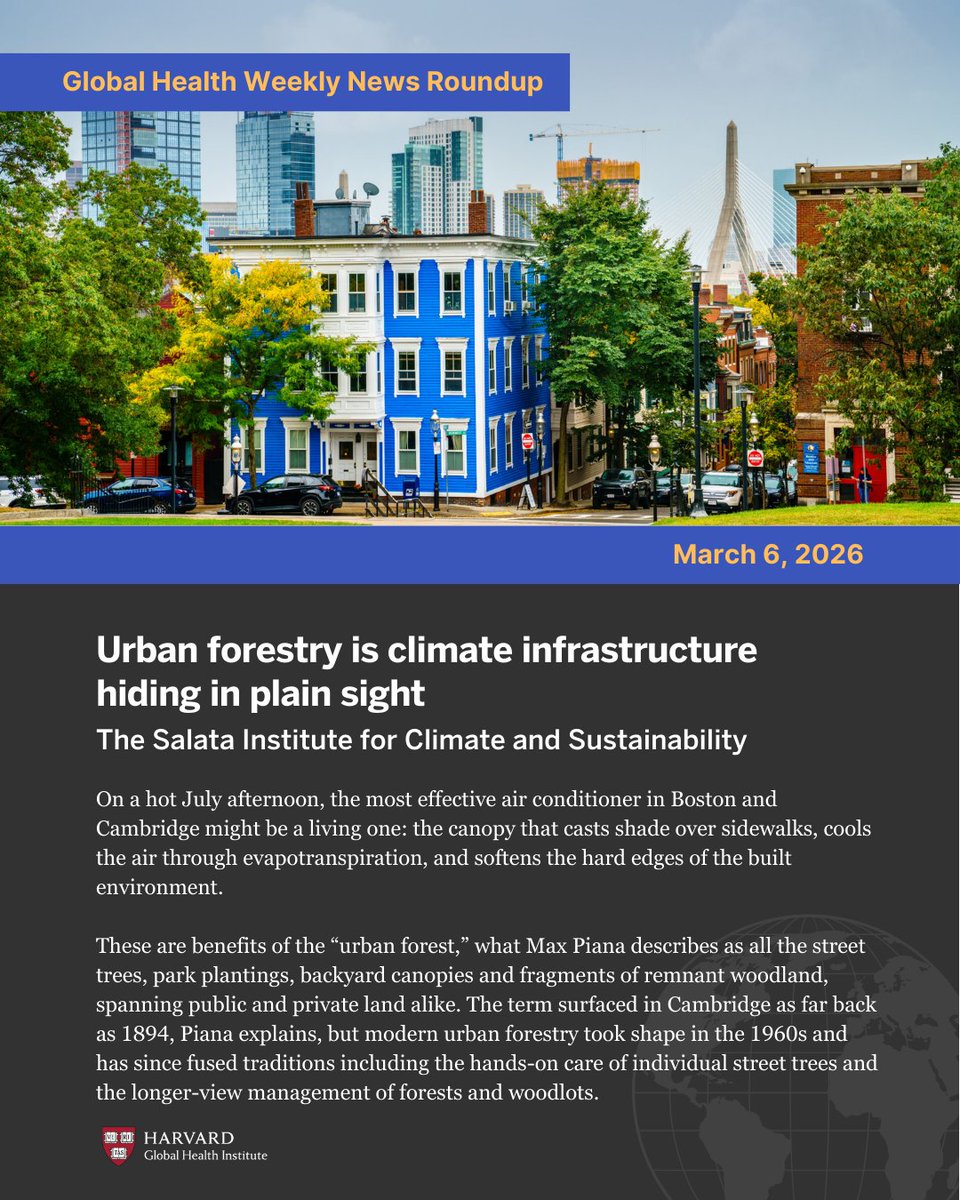 HarvardGlobalHealthInstitute tweet media