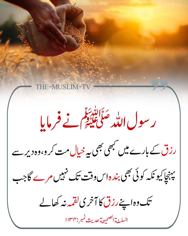 نبی کریم ﷺ نے فرمایا 🌼🍂♥️