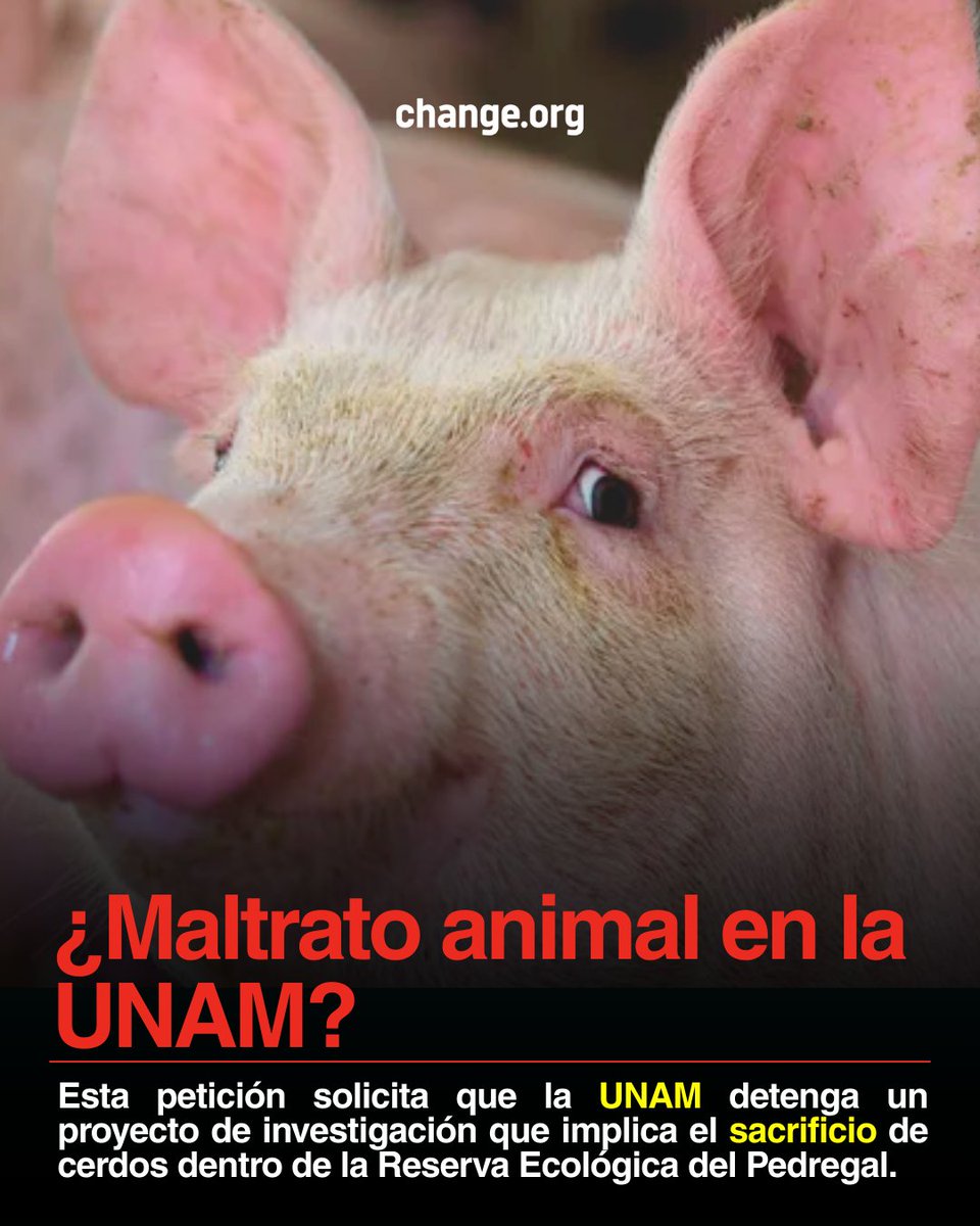 Change.org México tweet media