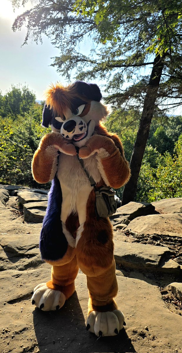 🌿Dog With A Blog🌿🔜FE tweet media