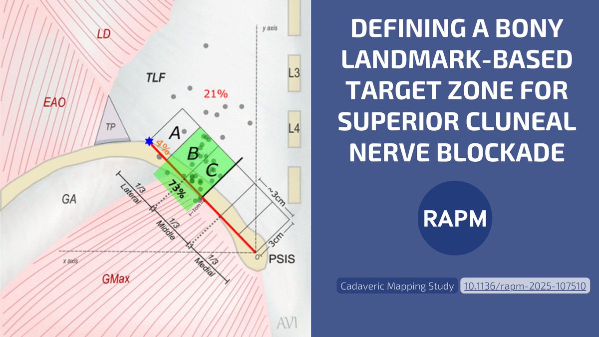 Regional Anesthesia & Pain Medicine tweet media