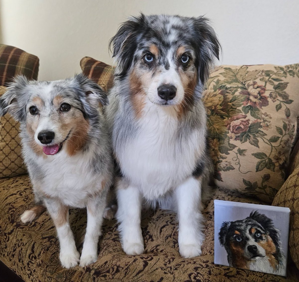 LoriMilo tweet media