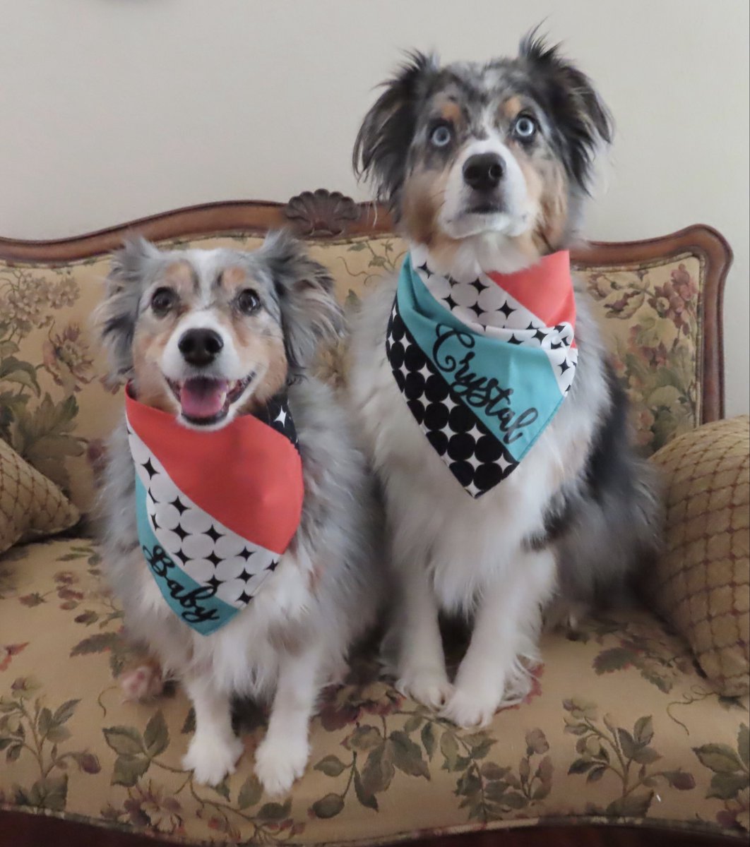 LoriMilo tweet media