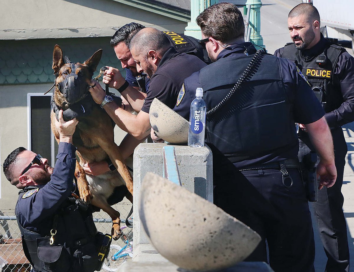 Todd Guild tweet media