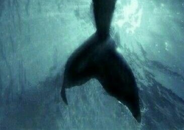 freakshaped's tweet photo. Shane was taught to never swim past the blue reef. But as a young curious merman he decides it's time to explore it.

No one can blame sea monster Ilya for wanting to taste the pretty thing that was foolishly swimming right into his tentacles. https://t.co/GTgjJSLvNz