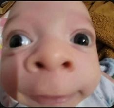 AngyyHyde's tweet photo. Yo en la madrugada del Domingo, viendo la pelea de Oliveira y Holloway, y la F1 al mismo tiempo. https://t.co/ToyRTVqWph