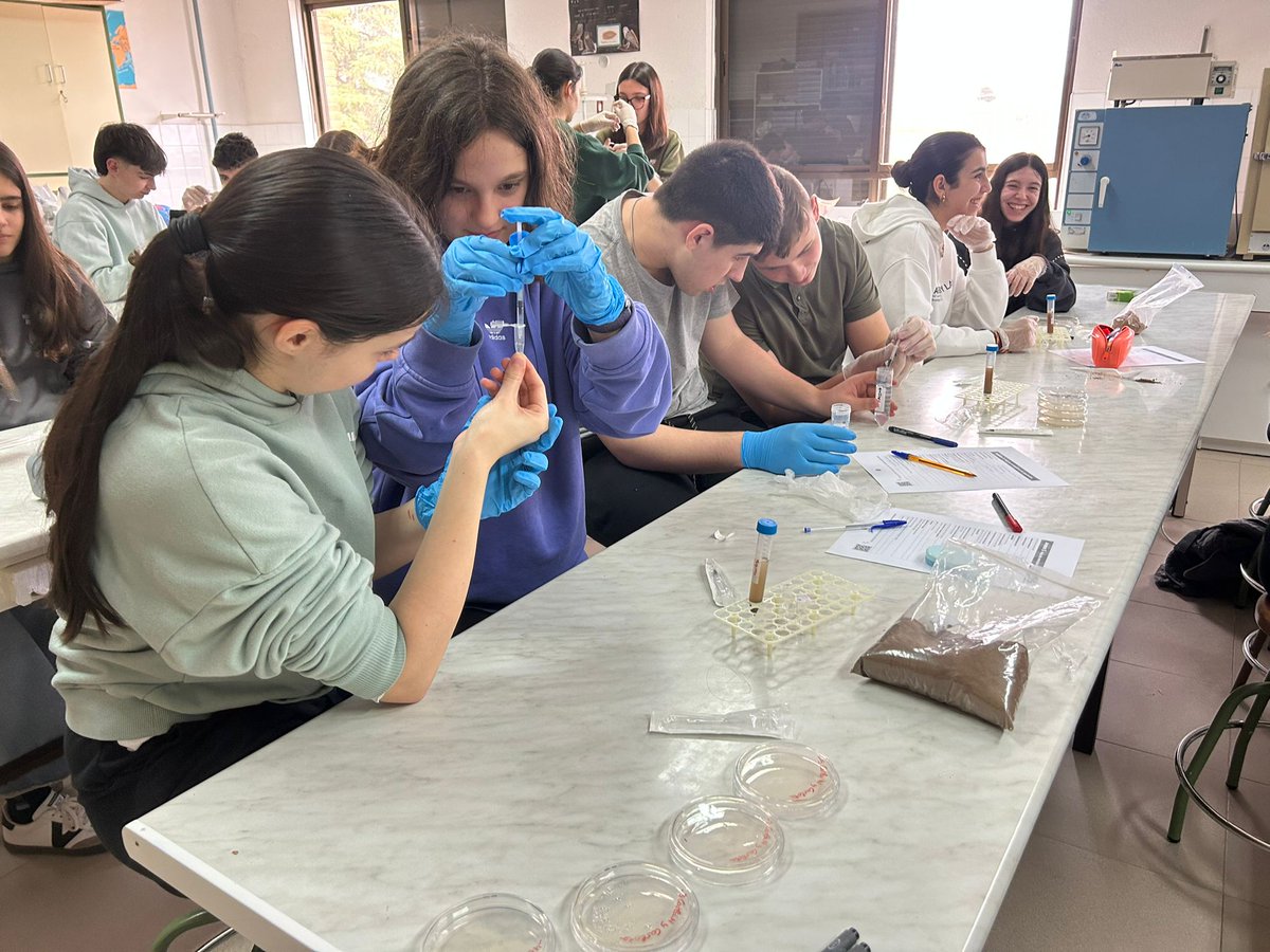 a_b_y_m's tweet photo. Nuestro alumnado participa en el proyecto Micromundo 🧫 
Hemos recogido muestras de suelo, realizado siembras de microorganismos y ensayos de antibiosis en busca de bacterias capaces de producir nuevos antibióticos.
Ahora toca esperar y observar🔬
@MicromundoTO
@MAmbBioquimUCLM https://t.co/KdZLKV29jv