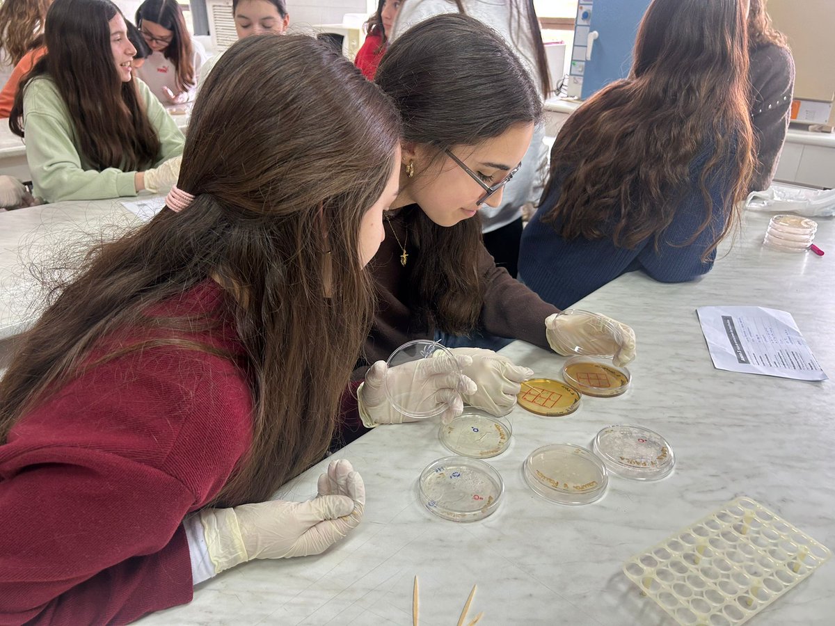 a_b_y_m's tweet photo. Nuestro alumnado participa en el proyecto Micromundo 🧫 
Hemos recogido muestras de suelo, realizado siembras de microorganismos y ensayos de antibiosis en busca de bacterias capaces de producir nuevos antibióticos.
Ahora toca esperar y observar🔬
@MicromundoTO
@MAmbBioquimUCLM https://t.co/KdZLKV29jv