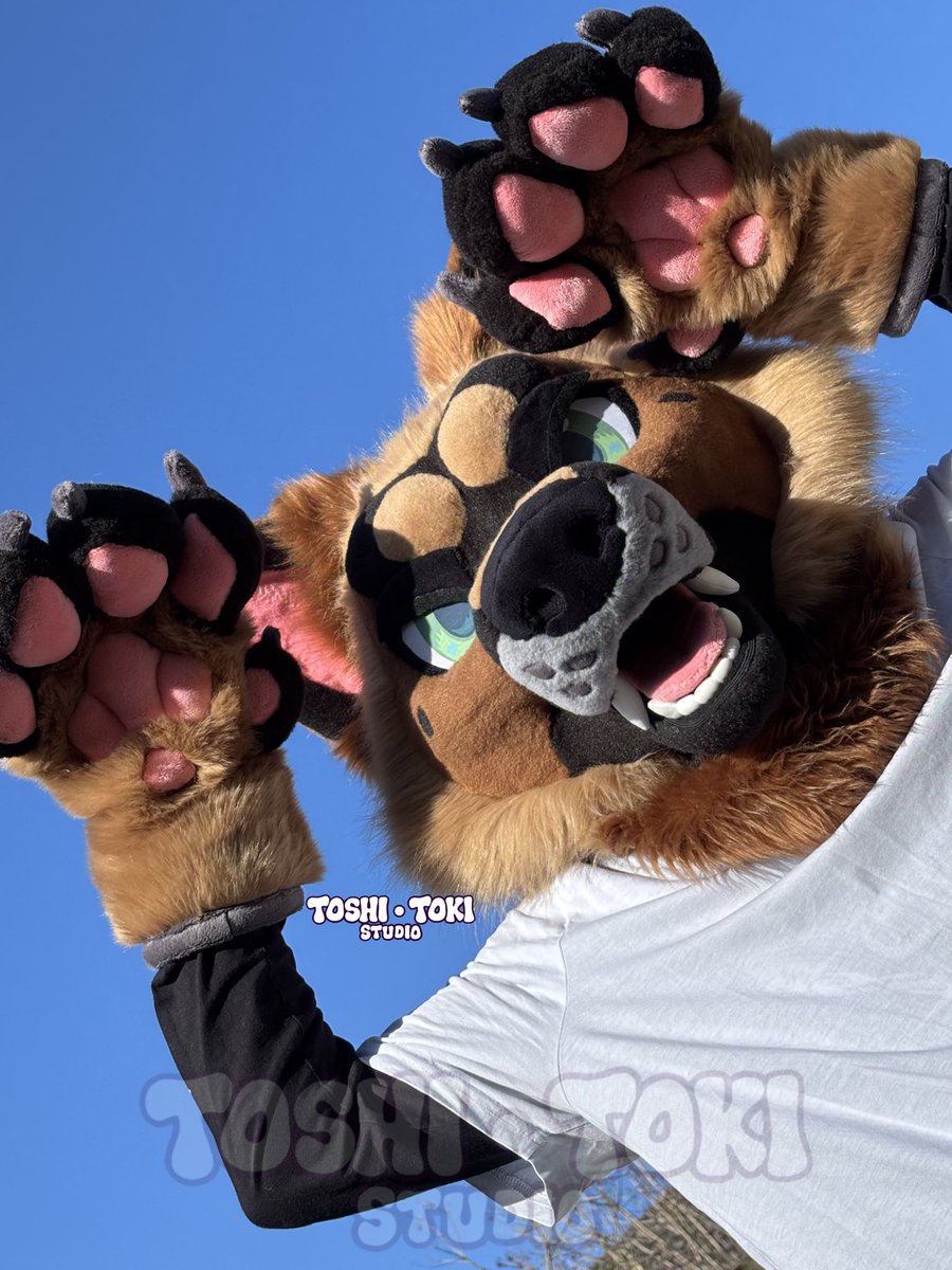 🏙️ Toshi Toki 🏙️ tweet media