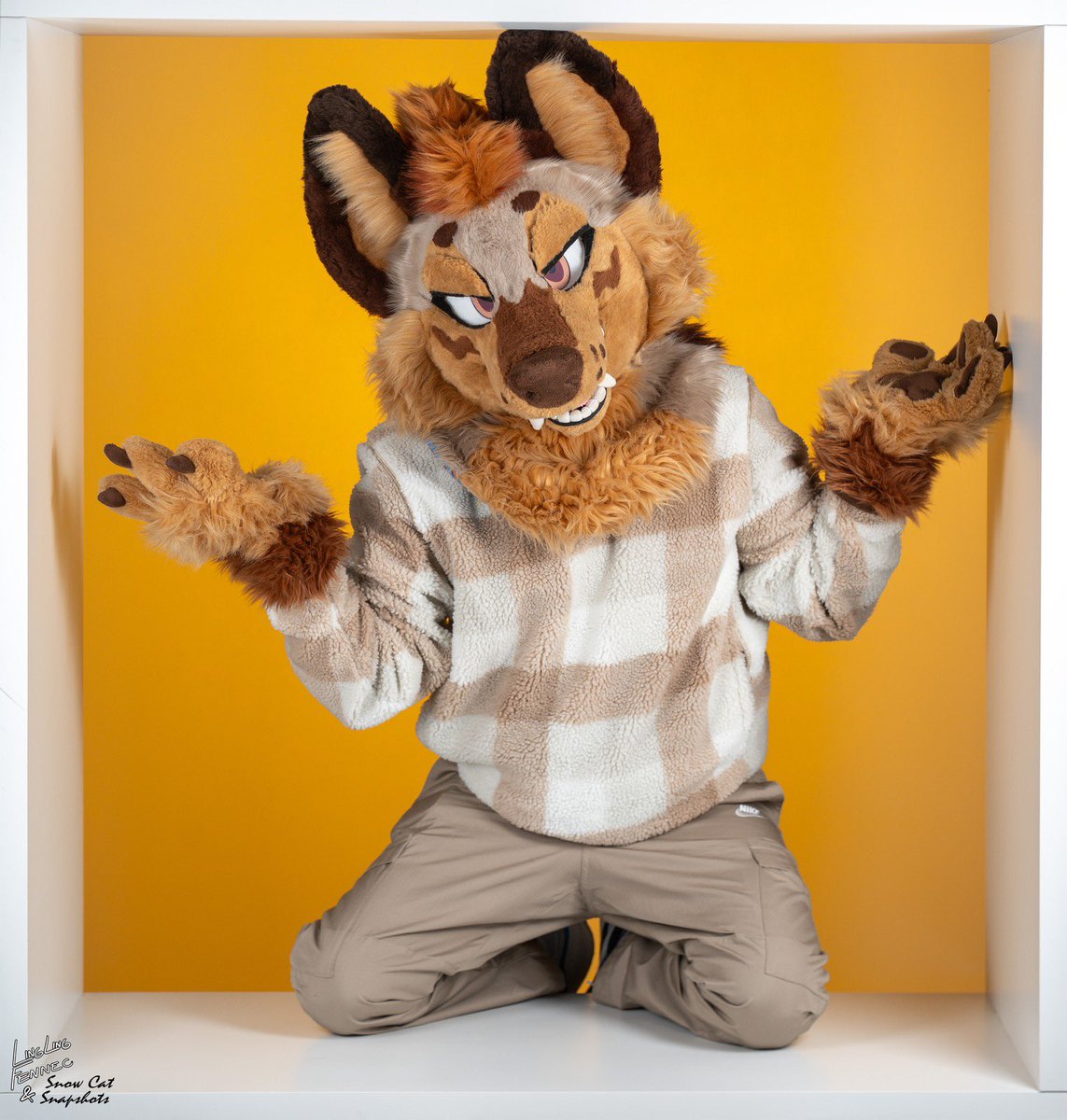 Orfa @ FTM tweet media