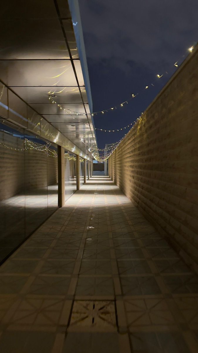 mohamed Alqhtane tweet media