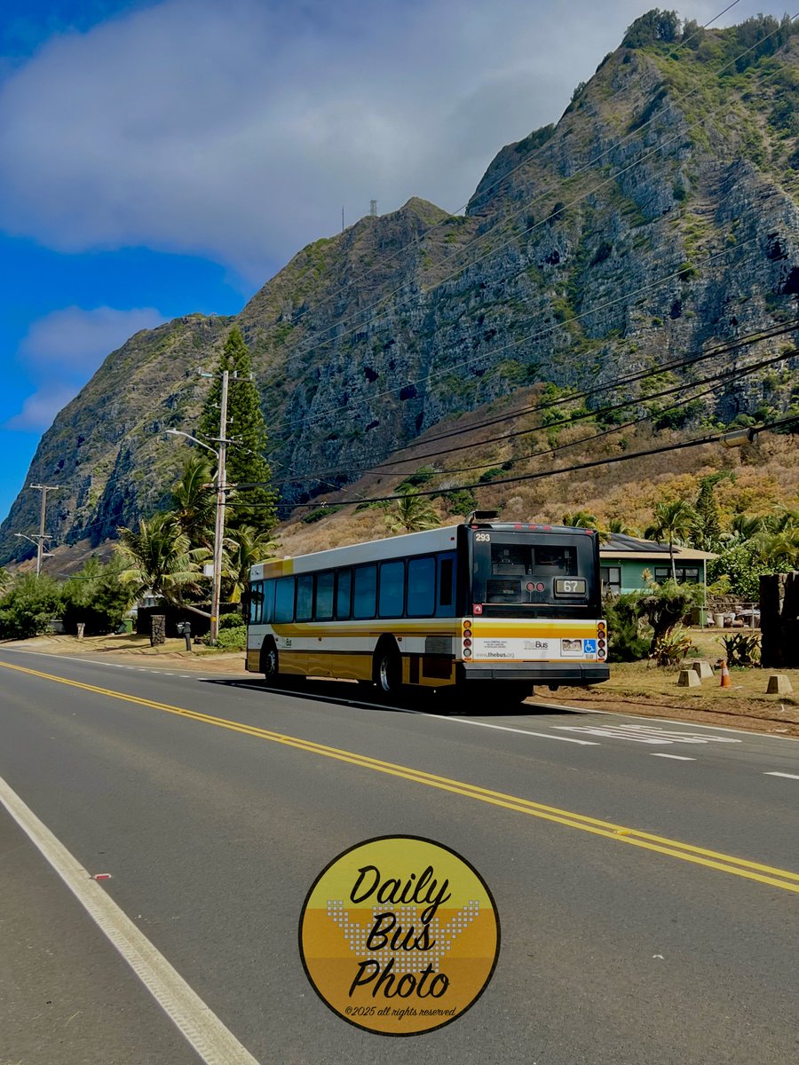DailyBusPhoto's tweet photo. Happy Aloha Friday🤙

TheBus Route 67 - Ala Moana Center (Unit 293) on layover at stop 1311 in front of the Waimānalo Beach Park.

#Photograghy #PublicTransit #TheBus #HOLOWithUs #Transit #Bus #BusSpotting #GILLIG #Hawaii #Waimanalo #Oahu https://t.co/MsNMRUFpHl