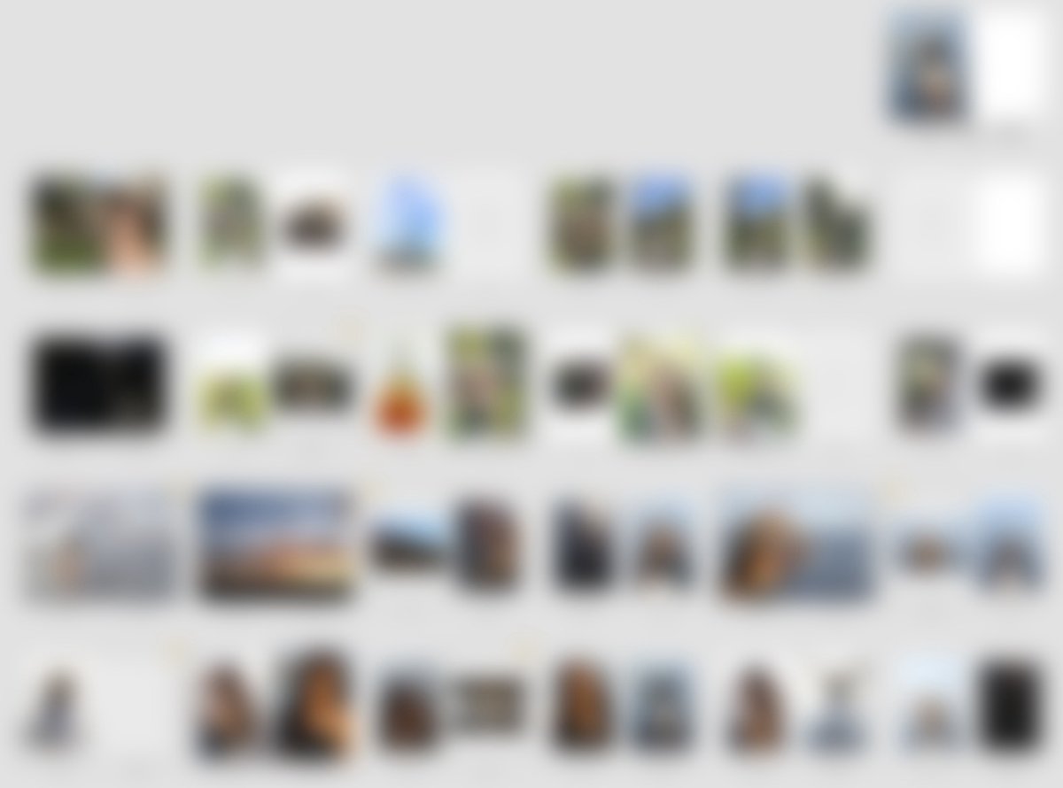 伊之上 直 | Nao_graphy tweet media