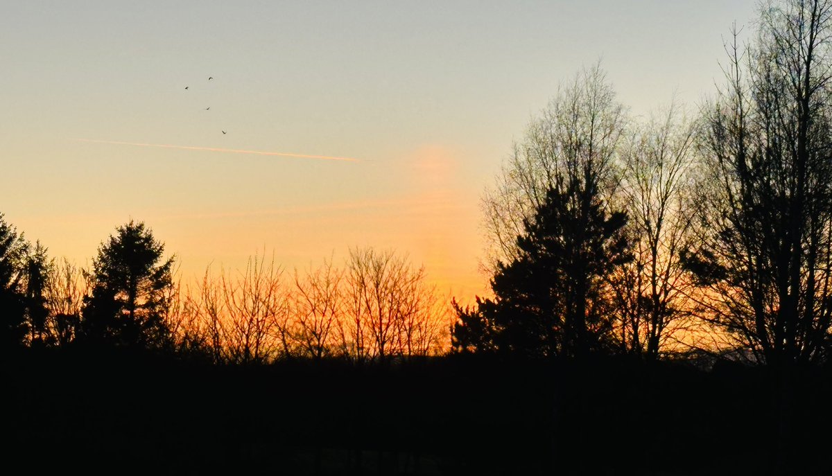 SkylarkArtist's tweet photo. Sunset somewhere near Auchterarder, Perth & Kinross…
#sunset #Auchterarder #PerthandKinross #ScottishHighlands
⛰️🌅⛰️ https://t.co/6w5JIIVgHv