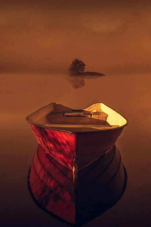 #PensarNaoDoi 

"Senhor fazei de mim um instrumento de vossa paz...!"

São Francisco de Assis

Ótima tarde!