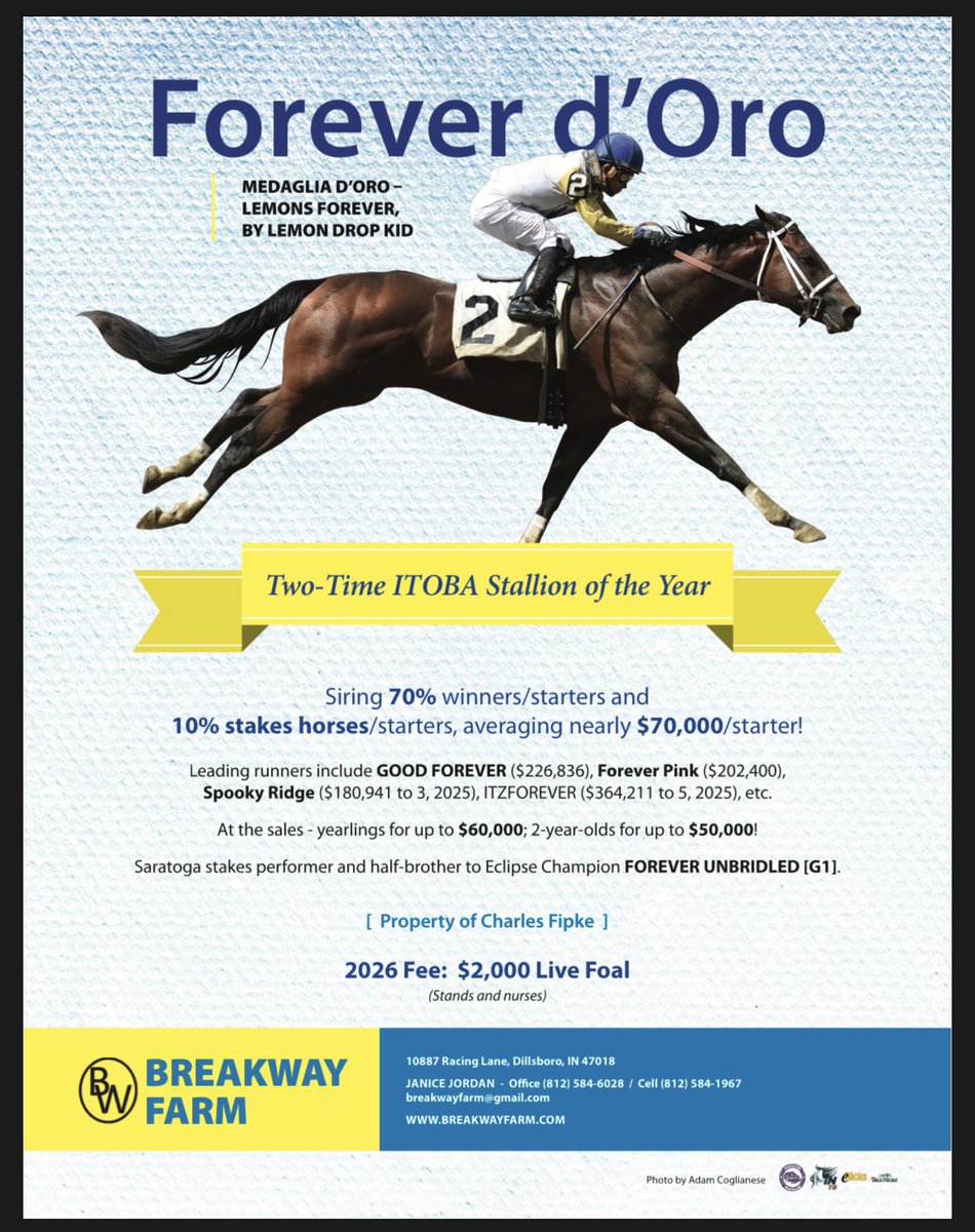 Fipke Stable tweet media