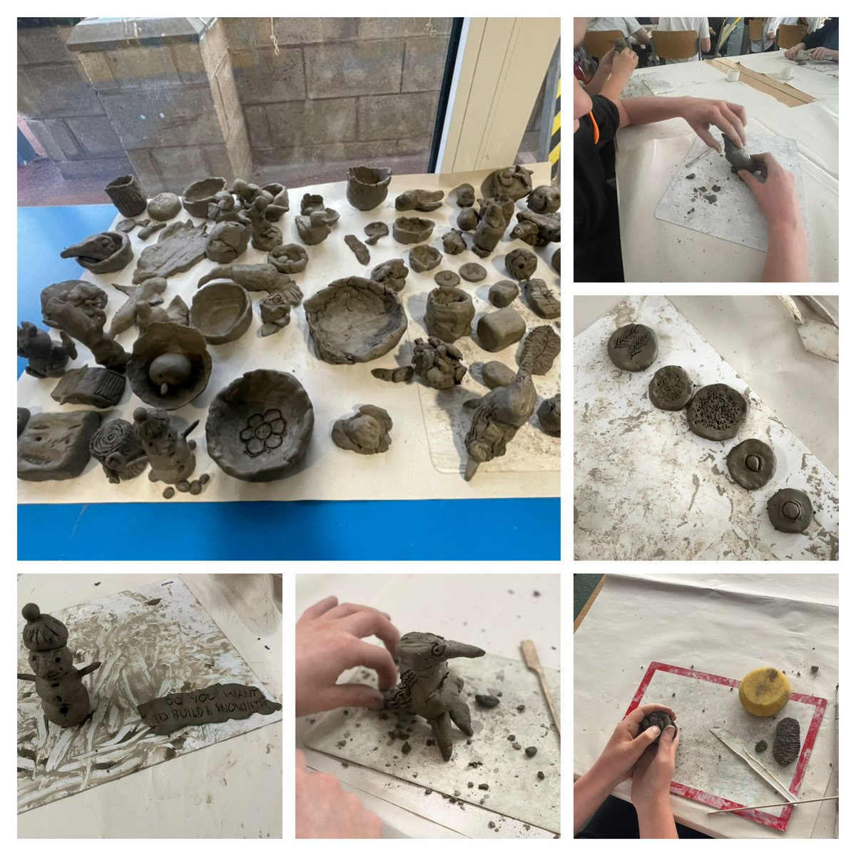 Seahorses Class tweet media