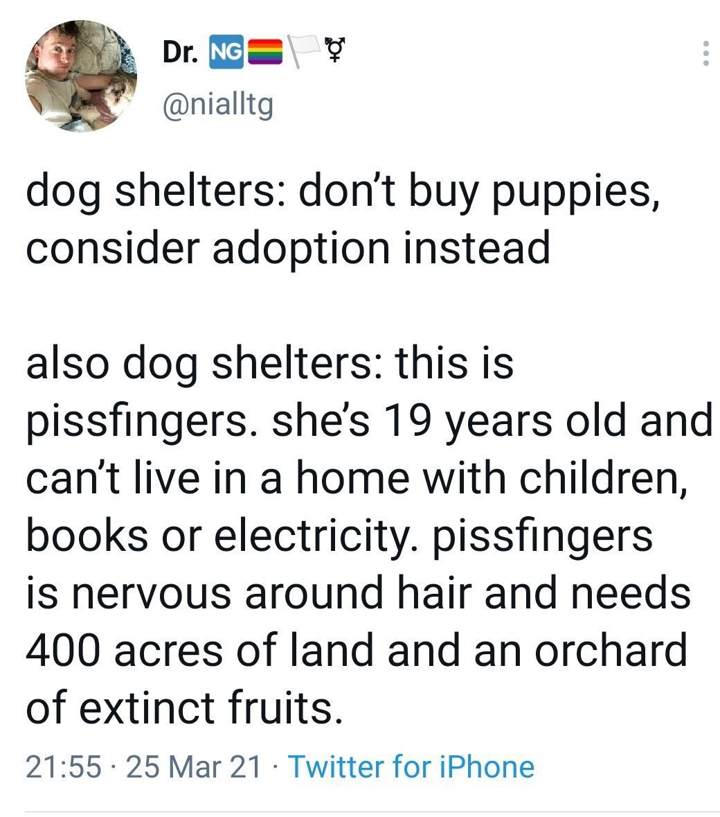 Mark Gillies (@5goalthriller) on Twitter photo 