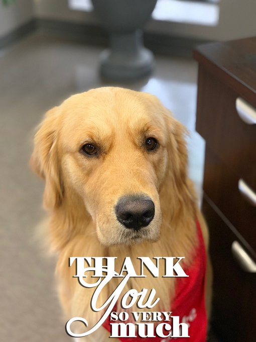 Jakeconnorcrew's tweet photo. Honoring our "Crew" of hard workers today! Thank you for all you do each and everyday!  #EmployeeAppreciationDay #JakeConnorandCrew #BestCrewEver https://t.co/L3JU87FTiX