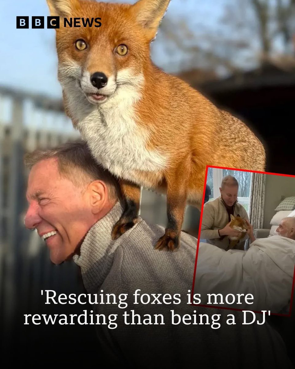 dominic dyer tweet media