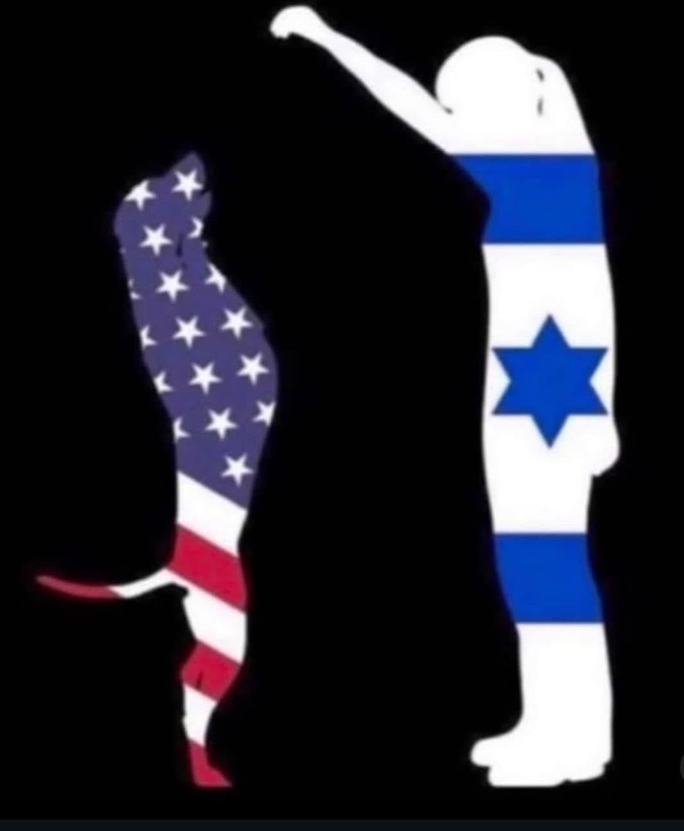 melissa cox 🇵🇸 (@melissamerica02) on Twitter photo 