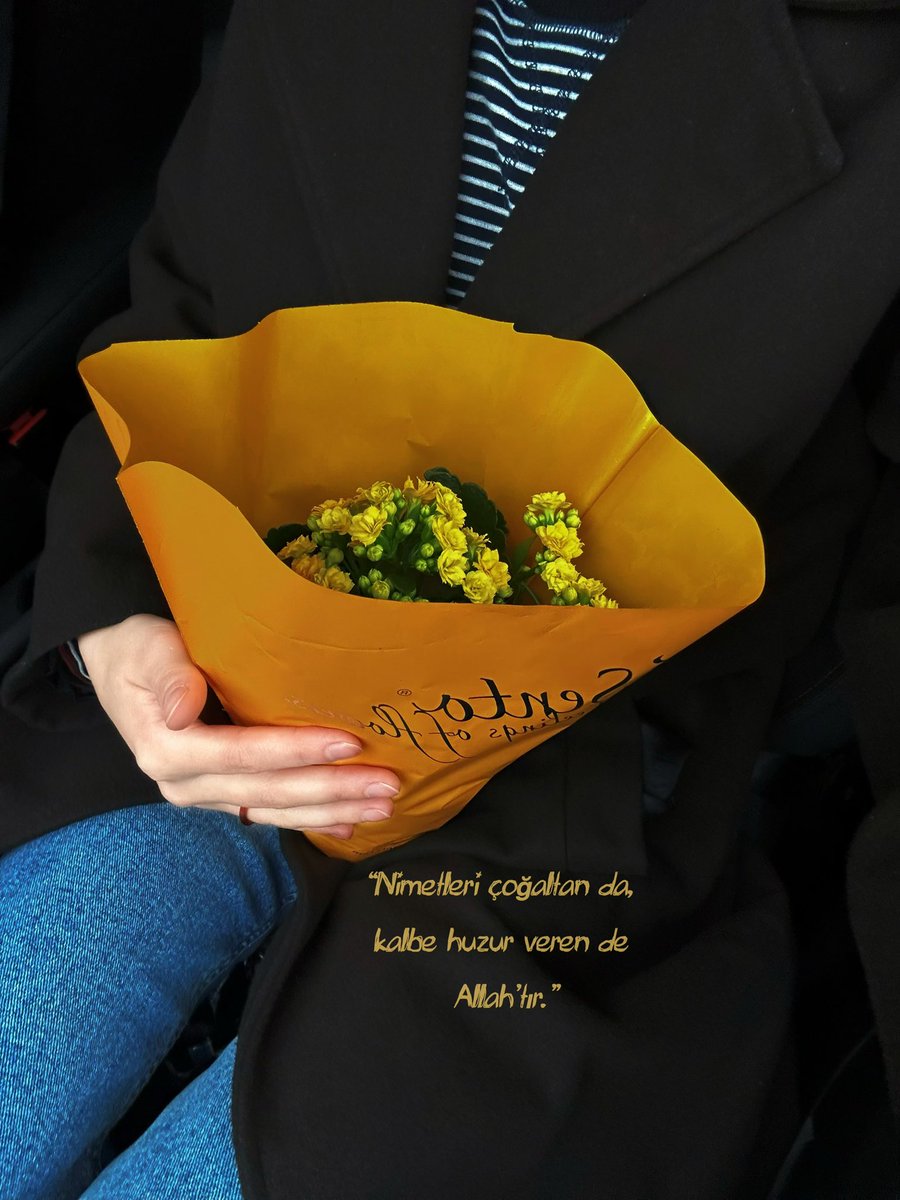 🍋Desen-i Aşk tweet media