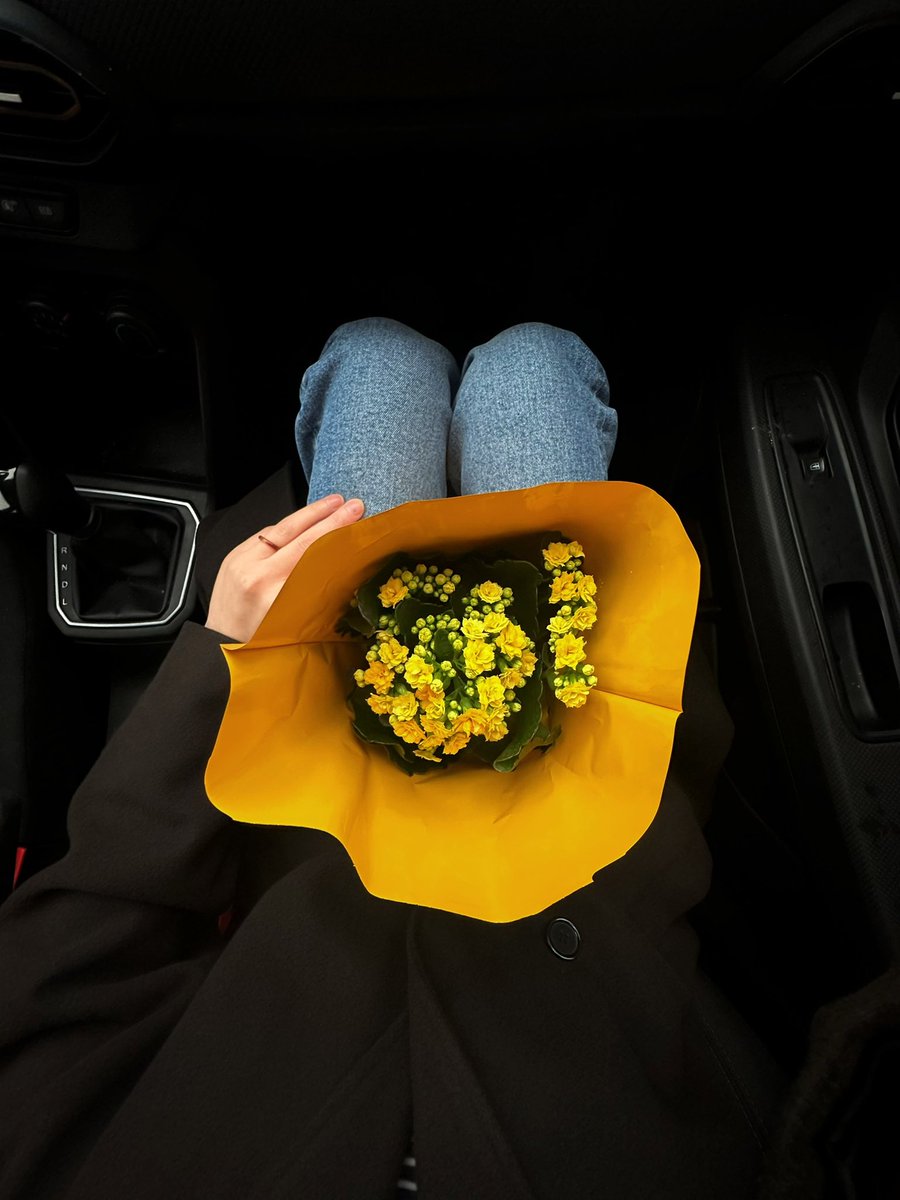 🍋Desen-i Aşk tweet media