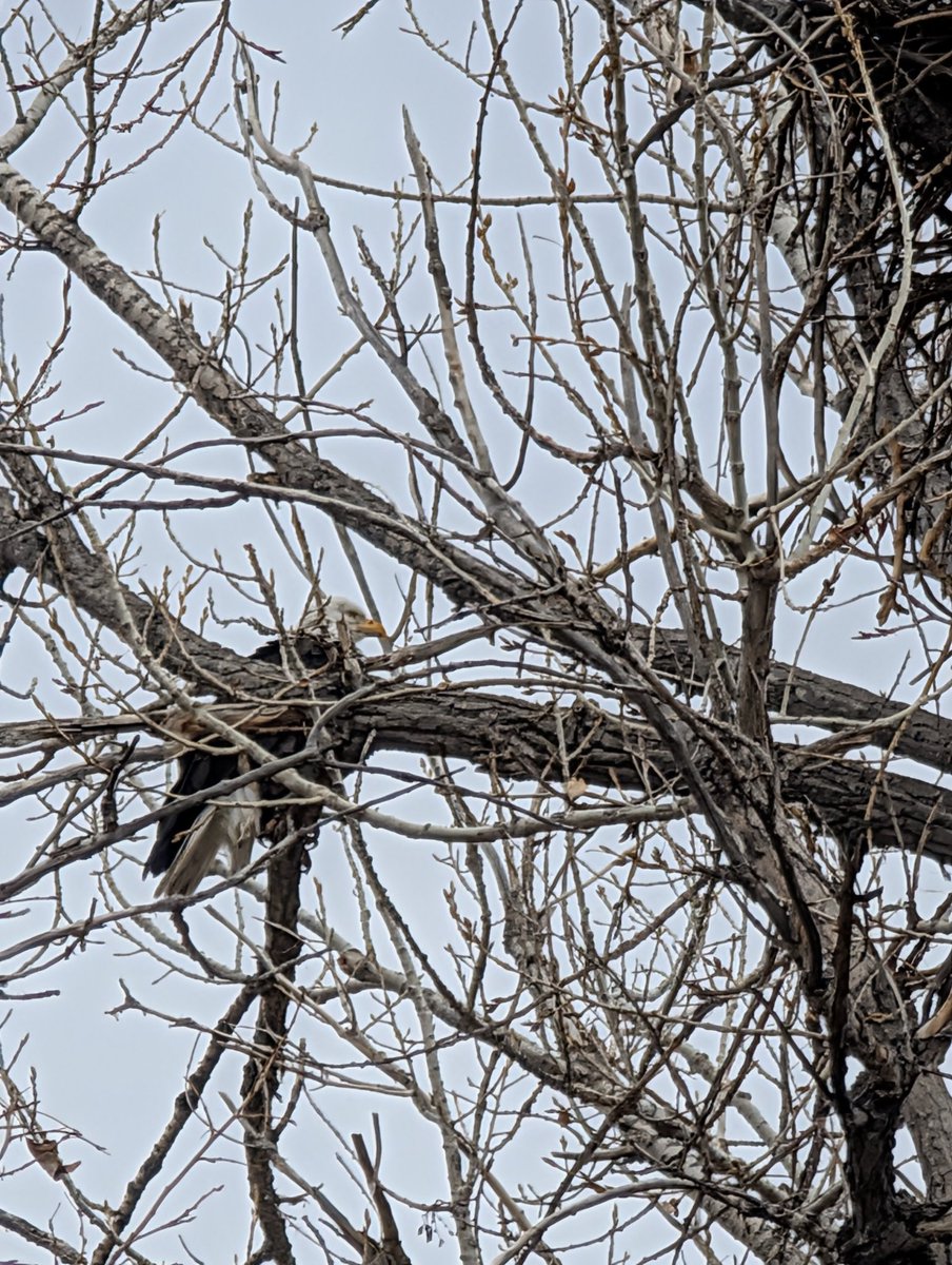 Greg Carpenter tweet media