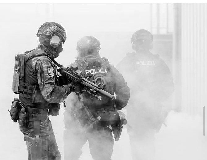 Galle®️ tweet media