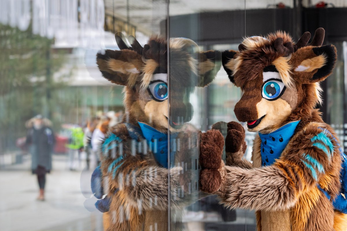 Zhentar | Miko tweet media