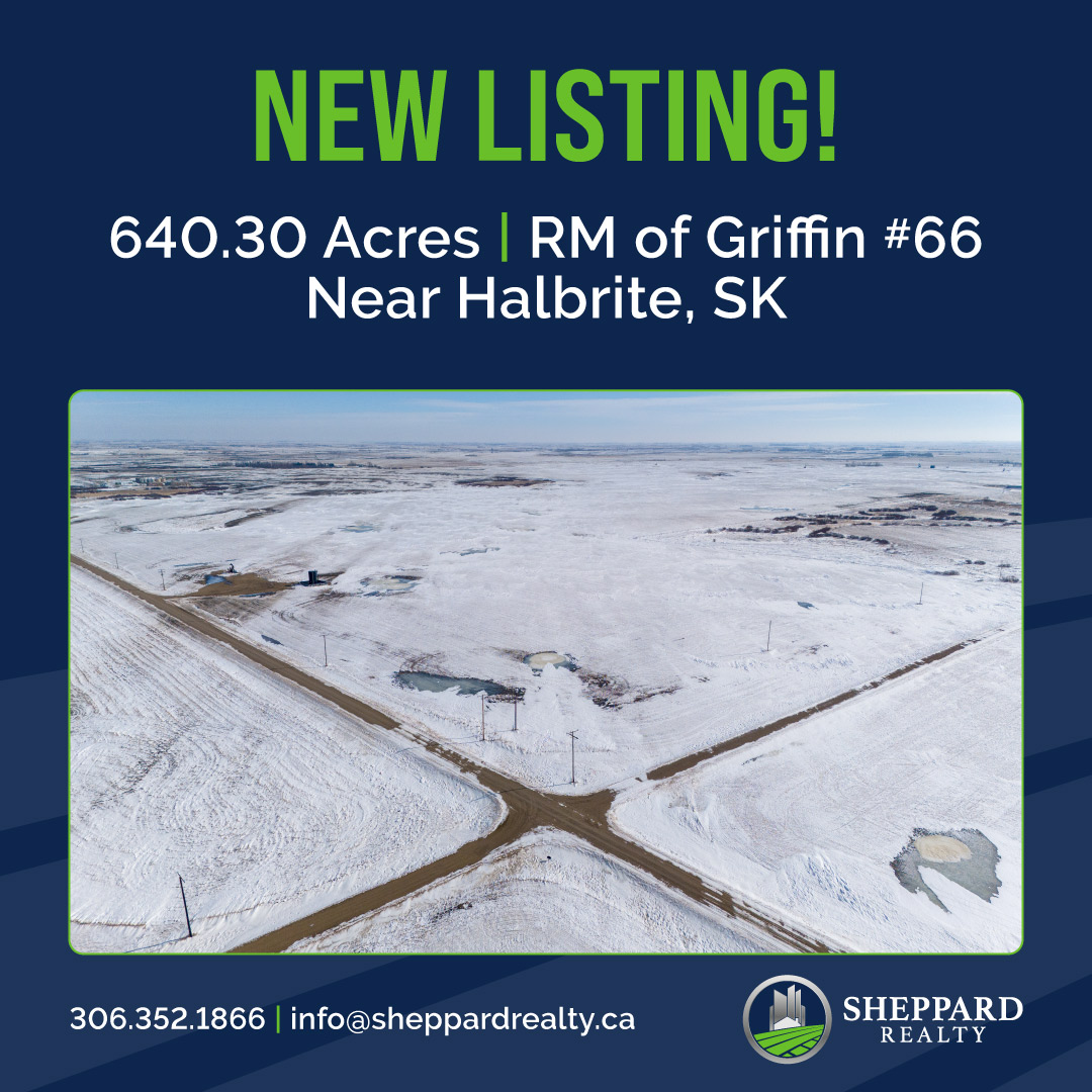 NEW LISTING!

4 qtrs near Halbrite, SK. 640.30 acres with 557 cultivated acres (SAMA). SCIC soil classes K &amp; L &amp; 54.43 SAMA FRWA. Oil surface leases generating approx. $33,475 annually. Asking $2,600,000. Offers due March 31 at 12PM.

Learn more:
sheppardrealty.ca/halbrite-farml……